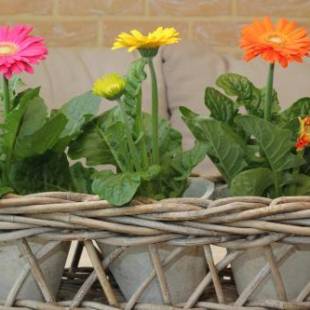 Фотографии гостевого дома
Bosbeekvallei