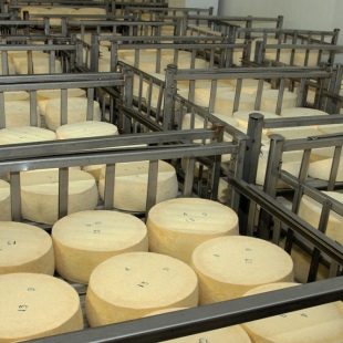 Фотография предприятий Даниловский сыродельно-маслодельный завод