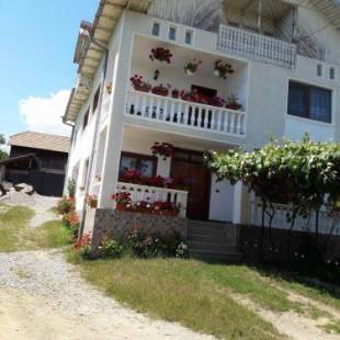 Фотографии гостевого дома
Pensiunea Angelica