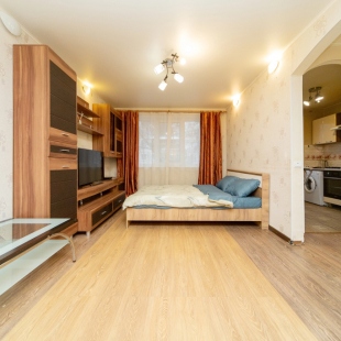 Фотография квартиры Квартира Уютная Трехкомнатная на Крисанова 27