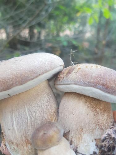 Фотография гостевого дома Casa Rural Rincón