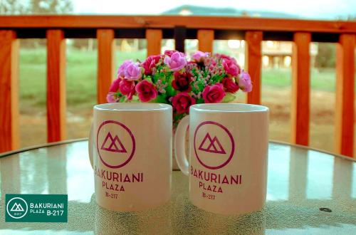 Фотография гостиницы BAKURIANI PLAZA