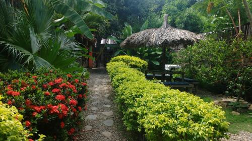 Фотографии гостевого дома
ZINPAR Hostel