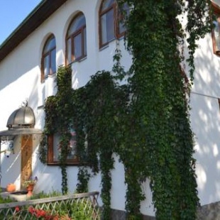 Фотография мини отеля Оазис