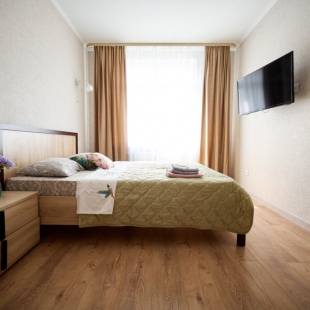 Фотография квартиры Апартаменты Домотелли Ипподромный переулок