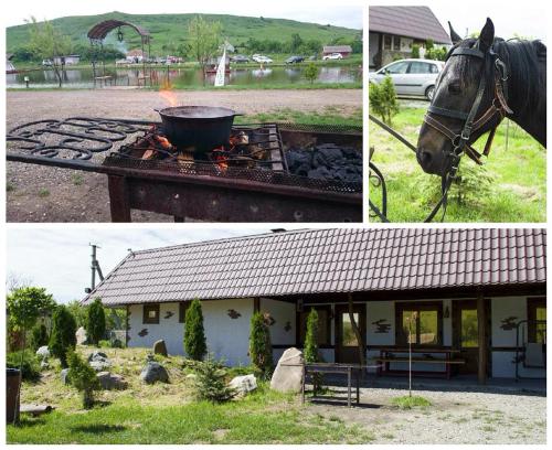 Фотография гостиницы Ранчо