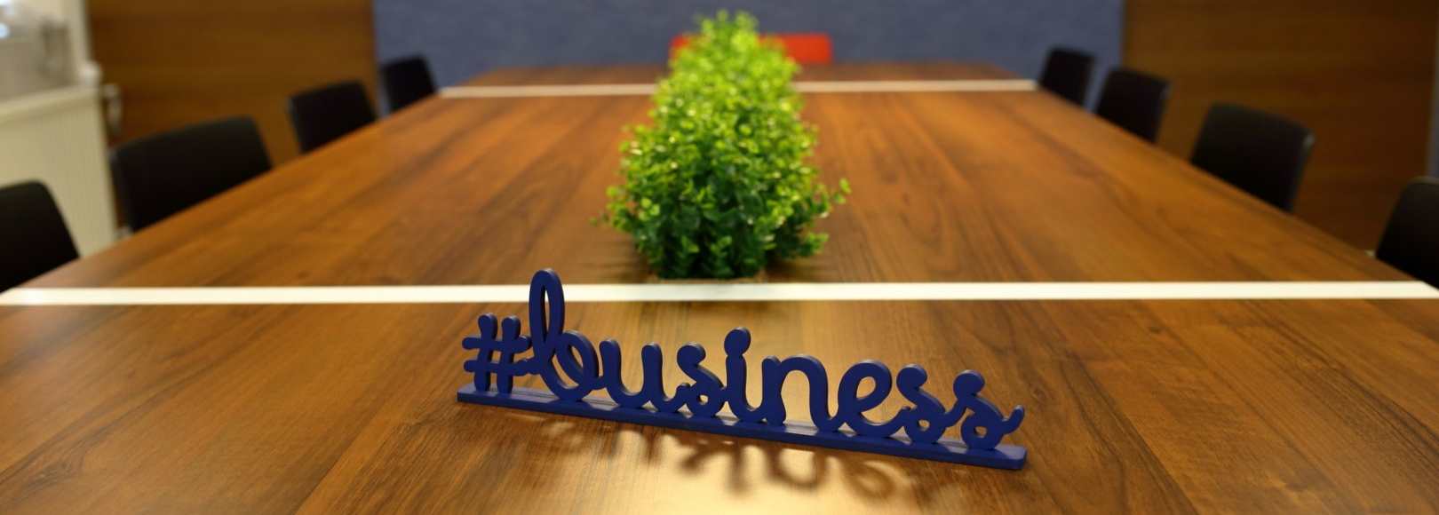 Фотография конференц-зала Матисов Домик