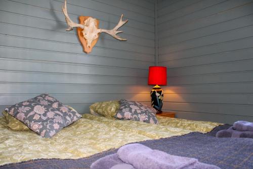 Фотография мини отеля Ajakka