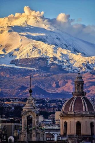 Фотография мини отеля Bed & Breakfast Firenze