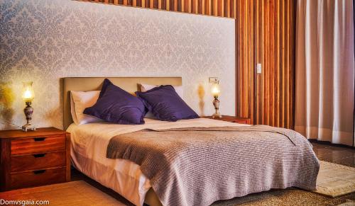 Фотография мини отеля Domvs Gaia GHouse B&B