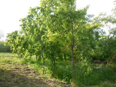 Фотографии гостевого дома
Davit