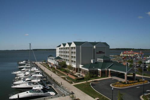 Фотография гостиницы Hilton Garden Inn Kent Island