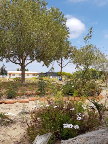 Фотография гостевого дома ApartHotel Cabañas Santa Maria