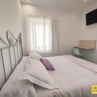 Фотография гостевого дома Hostal Óleo Auto Check-in