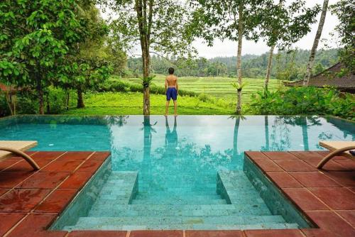 Фотография гостиницы Clove Tree Hill