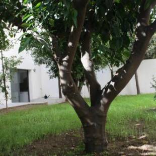 Фотографии общежития
Residencia Mayol - Только для взрослых