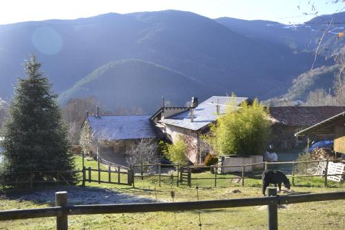 Фотография гостиницы Hotel Cruells