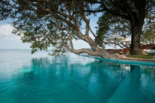 Фотография гостиницы Ekho Lake House