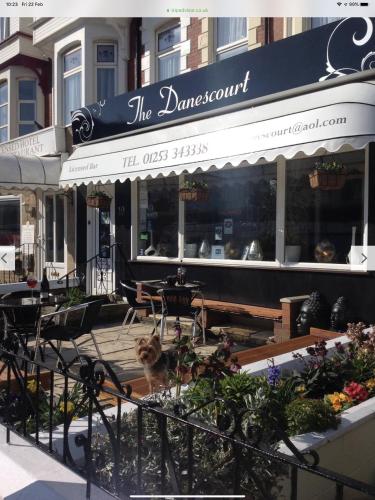Фотография гостиницы Danescourt Lodge