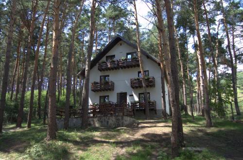 Фотография гостиницы Complex Parc Pini Moinesti