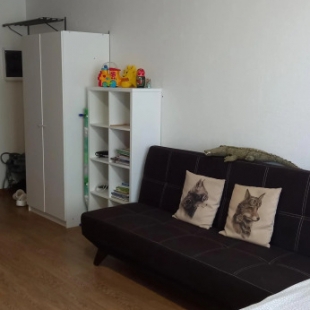 Фотография квартиры Апартаменты Троицкие