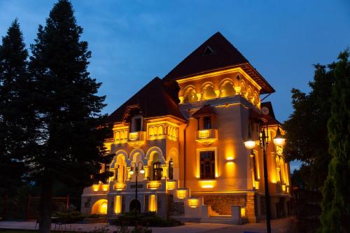 Фотография гостевого дома Boutique Hotel Danielescu