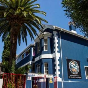 Фотографии хостела
Big Blue Backpackers