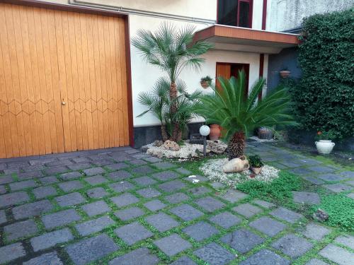 Фотография гостевого дома Etnasentieri