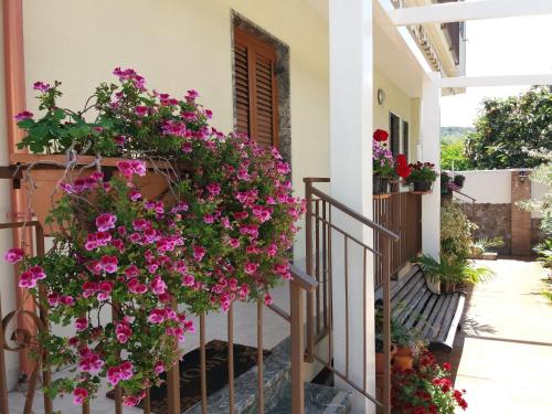 Фотография мини отеля B&B Castelluccio