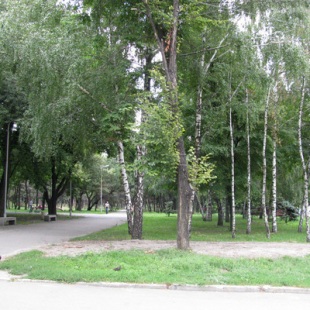 Фотография Парк имени Писаржевского
