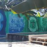 Фотография гостиницы Tipsea Turtle Gili Air