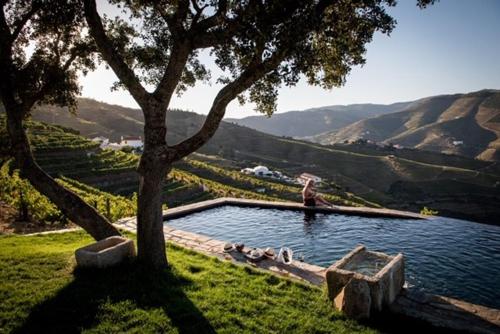 Фотография базы отдыха Quinta da Côrte