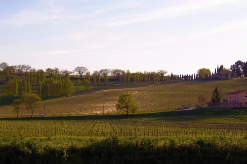Фотография гостевого дома Le Tradizioni Casa Vacanze