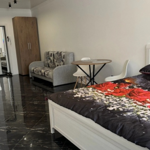 Фотография квартиры Квартира Студия ЖК Панорама