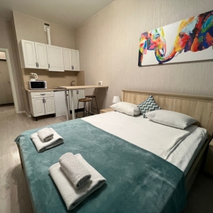 Фотография квартиры Апарт-отель Pulkovo Neon