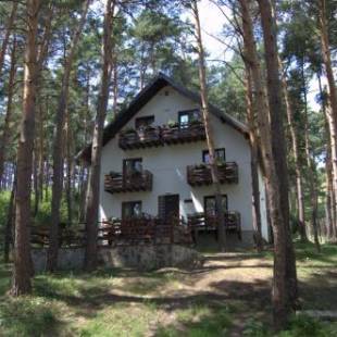 Фотографии гостиницы 
            Complex Parc Pini Moinesti