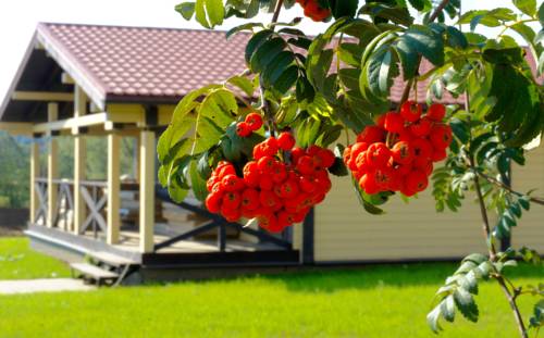 Фотографии базы отдыха 
            Загородный отель Фишерикс