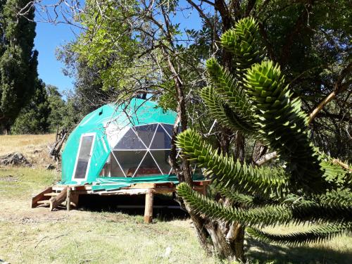 Фотография базы отдыха Eco Domo