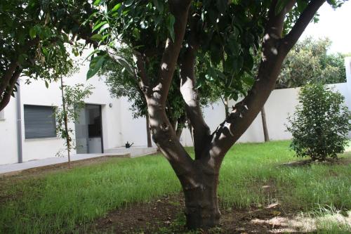 Фотография общежития Residencia Mayol - Только для взрослых