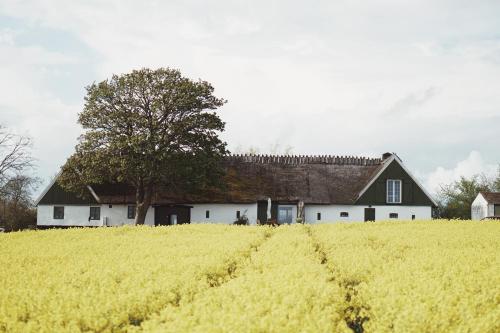 Фотография мини отеля Axatorpsgården