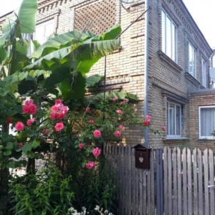 Фотография гостевого дома На Курганной, 8/1