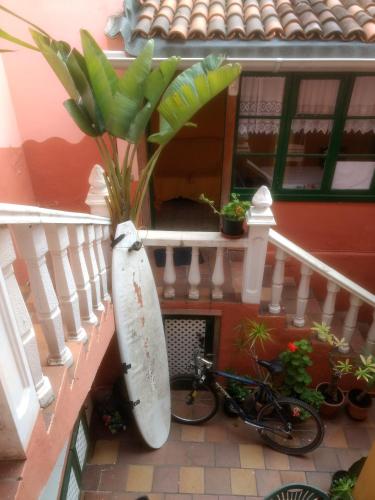 Фотография хостела Hostel Tenerife