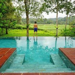 Фотографии гостиницы 
            Clove Tree Hill