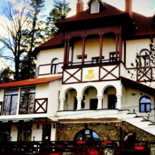 Фотография гостевого дома Pensiunea Alex