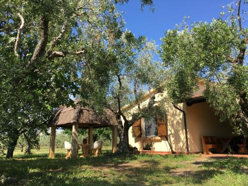 Фотография гостевого дома TOSCANA TOUR - Cottage I Ciliegi with fenced garden