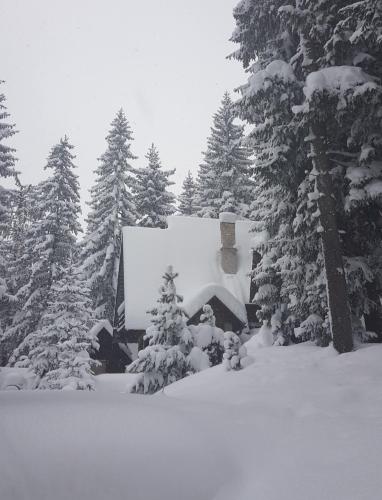 Фотографии гостевого дома 
            Vikendica PAM