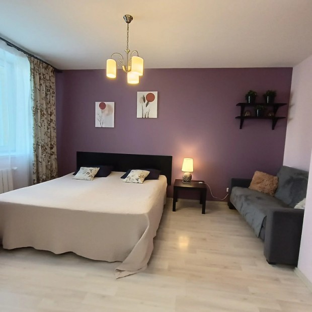 Фотографии квартиры 
            Апартаменты Библиотечная 45 #1