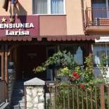 Фотография гостевого дома Pension Larisa