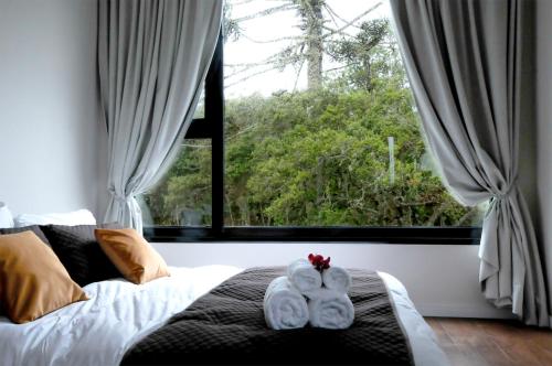 Фотографии гостевого дома
Brumas Casa de Campo - Cambará do Sul