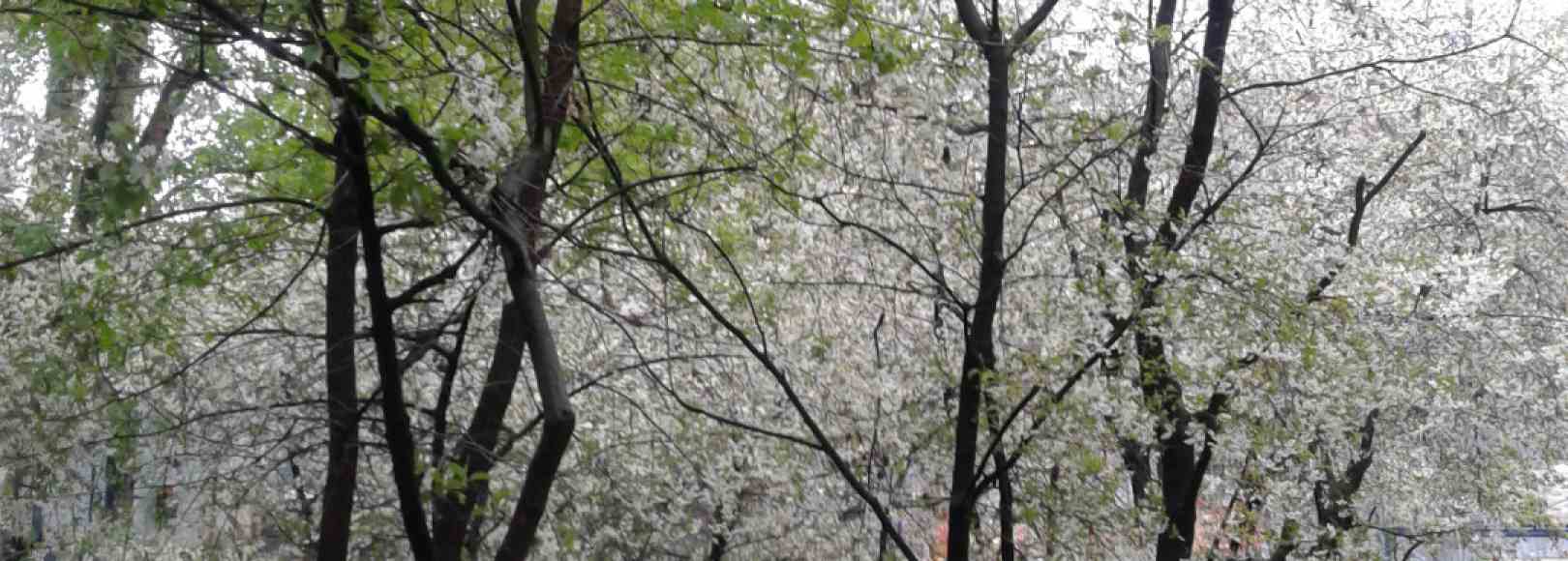 Фотография хостела Хостел ЗилАрт